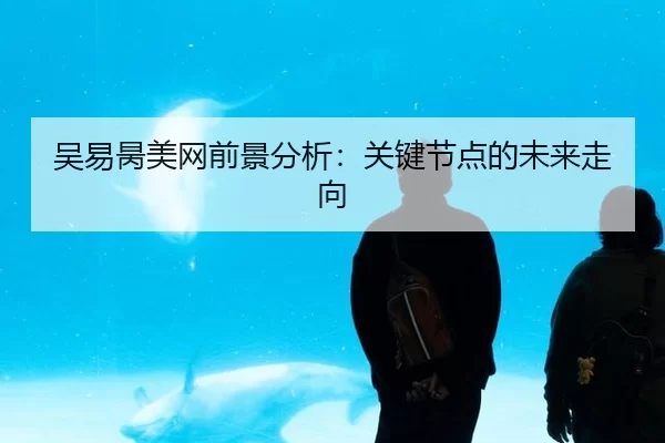 吴易昺美网前景分析：关键节点的未来走向